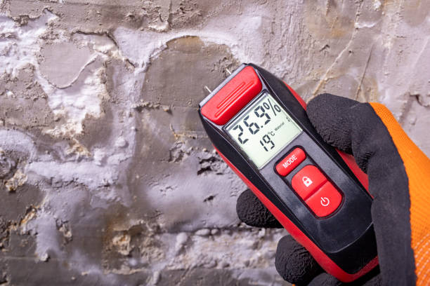 Best Professional Mold Removal  in Cao, ND