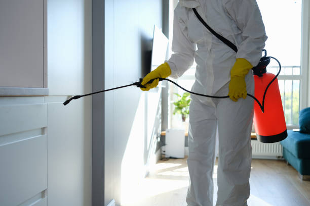 Best Attic Mold Removal  in Cao, ND