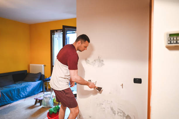 Best Best Mold Removal Companies  in Cao, ND
