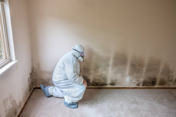 Best Crawl Space Mold Removal  in Cao, ND